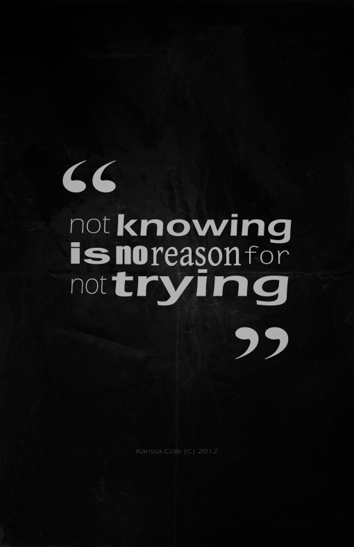 Not Knowing is no reason for Not Trying poster