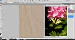 (1) Copy Photograph into Paper Texture