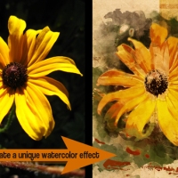 Photoshop Tutorial - Photo to Watercolor Painting
