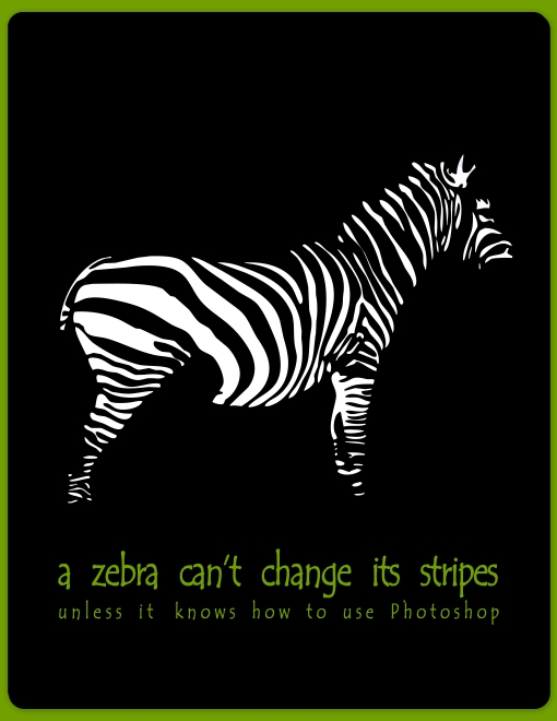 Change Zebra (2) by Karissa Cole 2012 all rights reserved