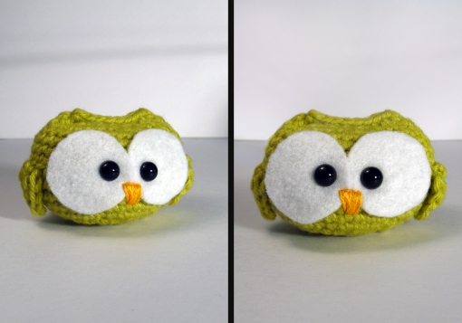Little Green Owl by Karissa Cole