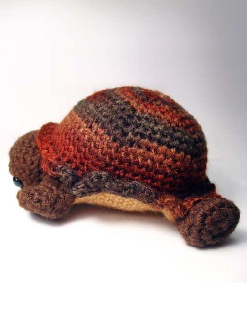 Shy the Tortoise by Karissa Cole 2013 promo 3