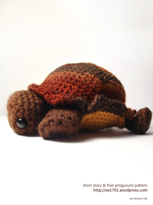 Shy the Tortoise by Karissa Cole 2013 promo2