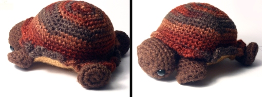 Shy the Tortoise by Karissa Cole 2013 Sides1