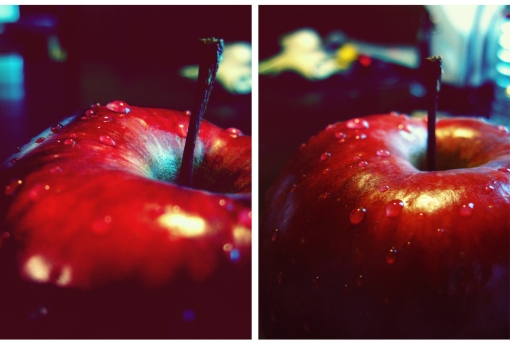 More Apples©  ea1701
